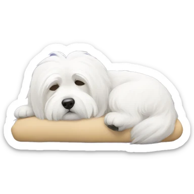 Coton de tulear sleeping on his back sticker