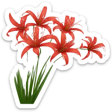 ￼ Red spider lilies  sticker