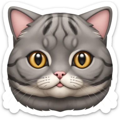 A grey striped Scotch fold with folded ears, a cute cat sticker