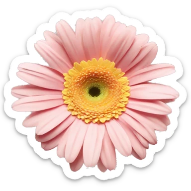 pale pink and yellow one flower gerbera sticker