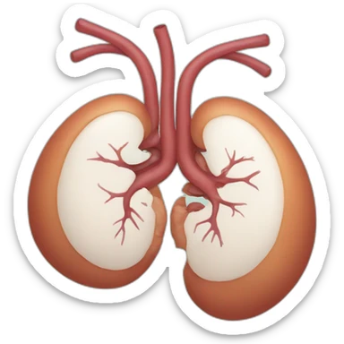 kidney sticker