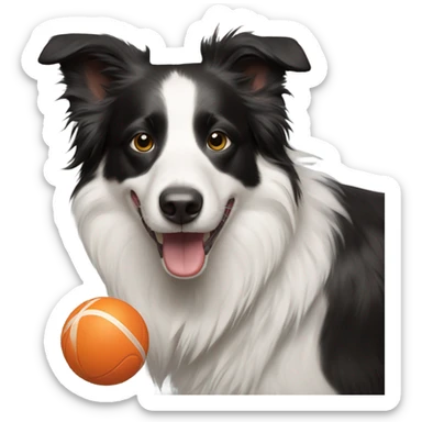 Border collie with ball in mouth sticker
