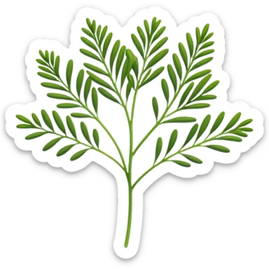 a sprig of dill sticker