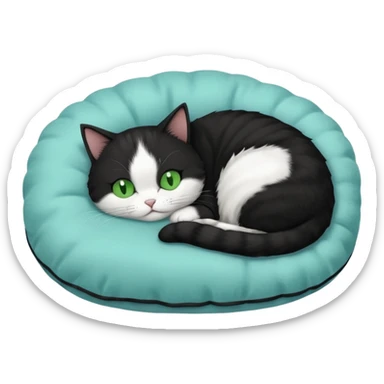 tuxedo short haired cat with green eyes sleeping in a lightblue pillow sticker