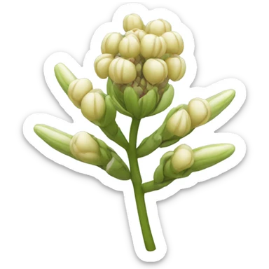 milkweed flower sticker