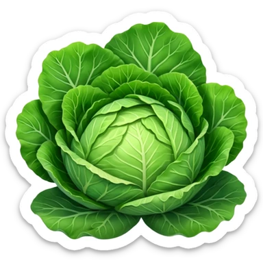 cabbage sticker