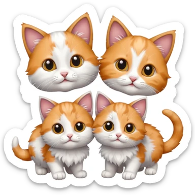 Three small cat three tiny little kitty cats, which are babies sticker