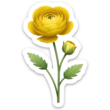 create a yellow Ranunculus flower with a stem sticker