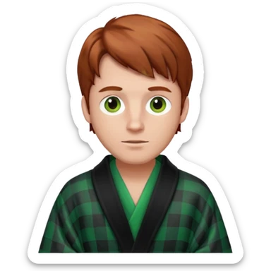 redish brown haired man with a black and green checked robe sticker