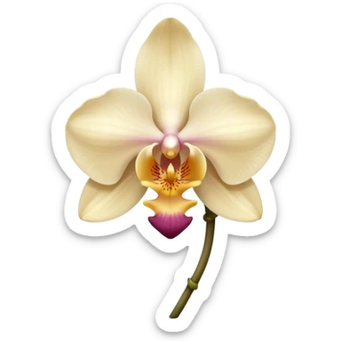 orchid flower, light beige color, no leaves, one piece only sticker
