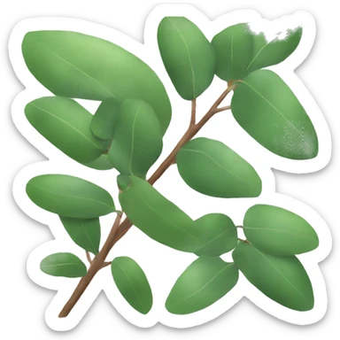 eucalyptus sticker