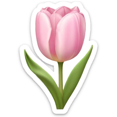 light pink tulip bouquet with light pink bow sticker