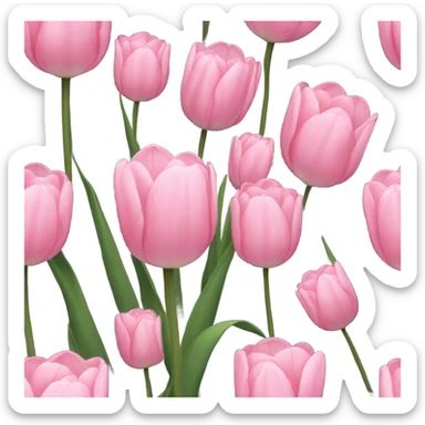 Pink tulip sticker