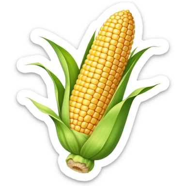 corn cob with husk sticker