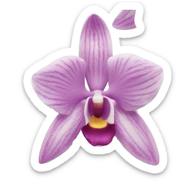 Orchids  sticker