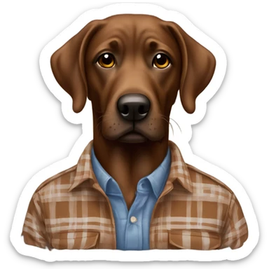 plaid shirt male portrait with brown lab sticker