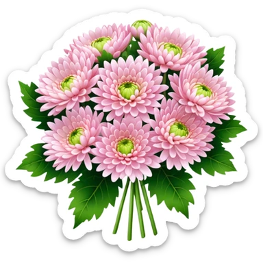 big bouquet Soft Pink Chrysanthemum, luxuriant, leaf, bud sticker
