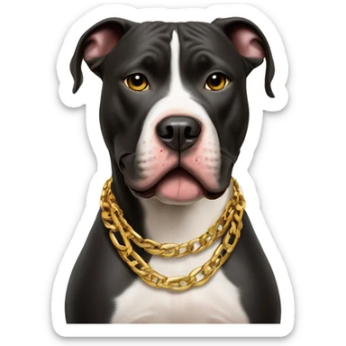 A dog pitbull with a aggressive face and wearing big gold chain on that says G UNIT sticker