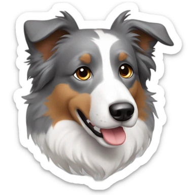 gray colour hair Border collie with Brown eyes sticker