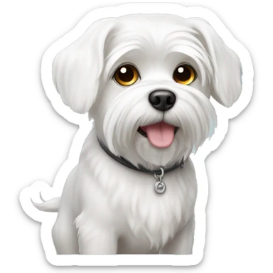 White Maltese dog with one eye  sticker