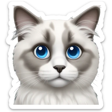 Ragdoll cat with blue eyes and a grey face that fades to white  sticker