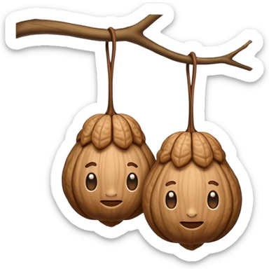 2 hangy wrinkly nuts sticker