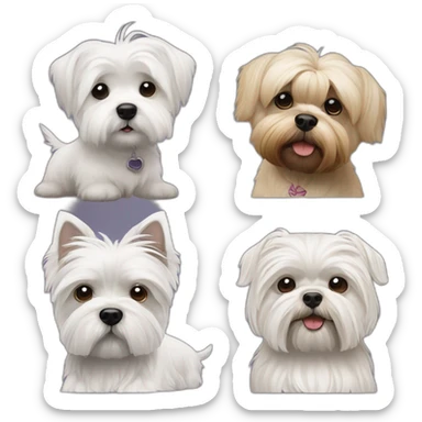 West Highland White terrier and a combination of a Shih-tzu and a Malthezer sticker