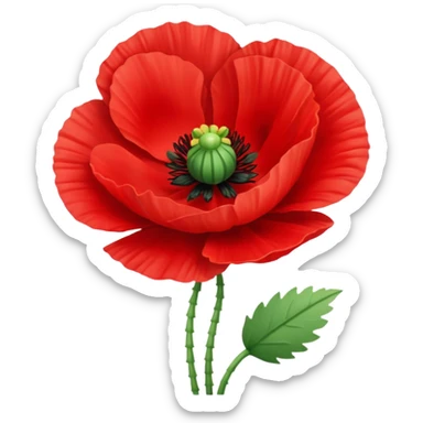 Poppy flower sticker
