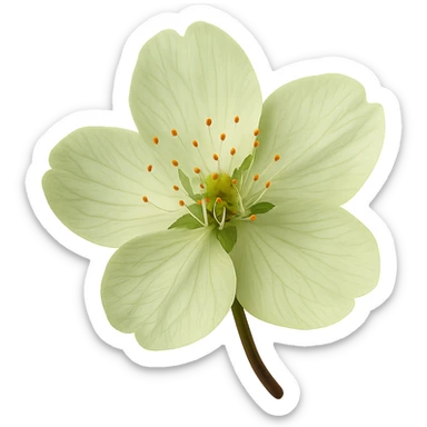 show  one green cherry blossom, remove background sticker