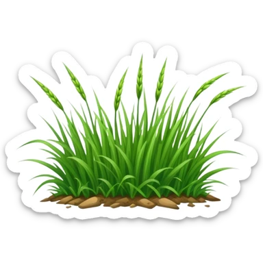 Annual Ryegrass sticker