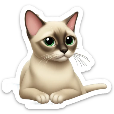 Siamese cat watching tv  sticker