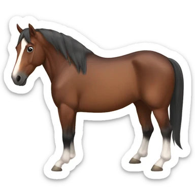 bay horse with blaze sticker