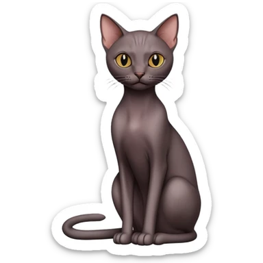 Dark hairless cat sitting sticker