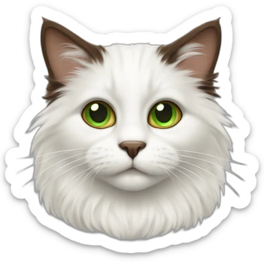 white fluffy bi-colour cat with dark brown ears and upper head, brown ears and green eyes sticker