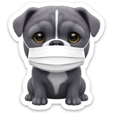 a Gray English bulldog sitting in his paws, he has a white color face mask sticker