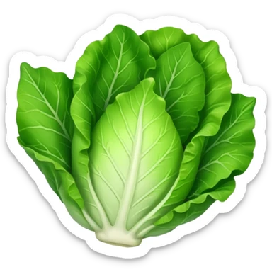 lettuce single  leaf  sticker