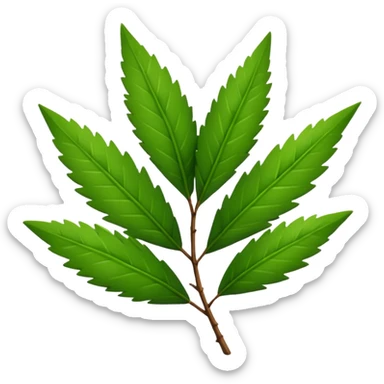 Tea tree leafs sticker