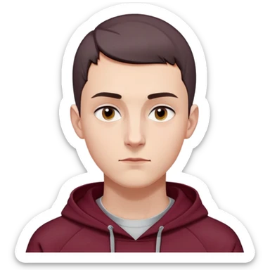 young white European male with short buzzcut dark hair, smooth clear skin, wearing a maroon hoodie with the hood up, oval-shaped face, defined jawline, high cheekbones, symmetrical features, sharp focused eyes, straight prominent eyebrows, calm neutral expression sticker
