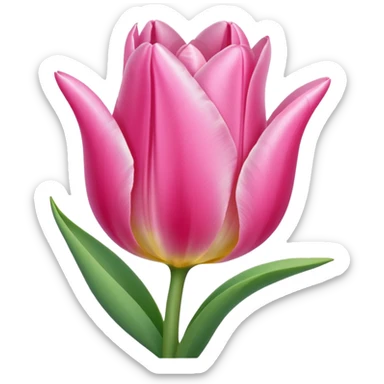 Baby pink colour tulip  sticker