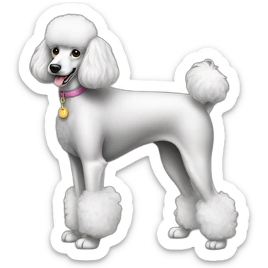 Dog Standart Poodle full body sticker