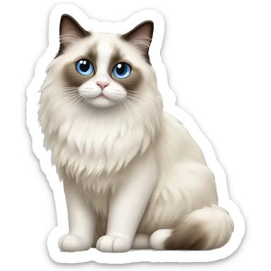 Ragdoll cat sticker