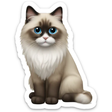 Ragdoll  sticker