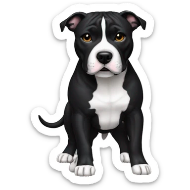 staffordshire bull terrier all black with body sticker