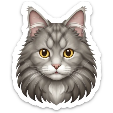 Maine coon gris et blanc  sticker