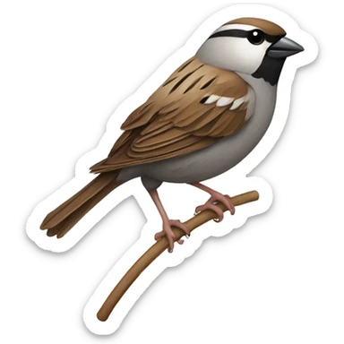 sparrow using a whip sticker