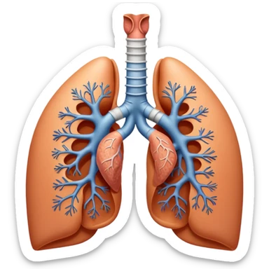 nose, trachea and lungs sticker