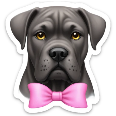cane corso with pink bow sticker
