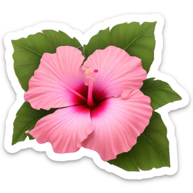pink hibiscus flower sticker