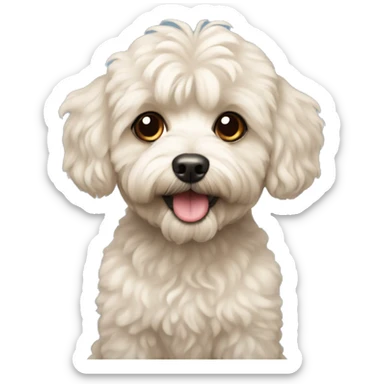 Dog maltipoo sticker