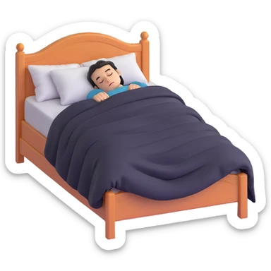 person sleeping under a blanket on a king bed, face hidden, foot of the bed view sticker
